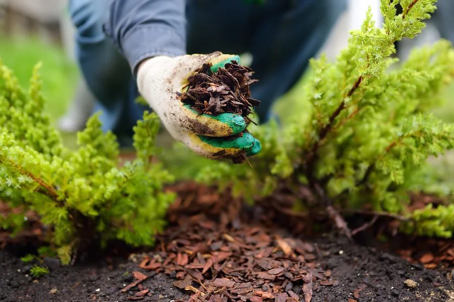 How Mulch Helps In Preventing Erosion In Landscaped Areas in Canton GA How Mulch Helps In Preventing Erosion In Landscaped Areas in Canton GA