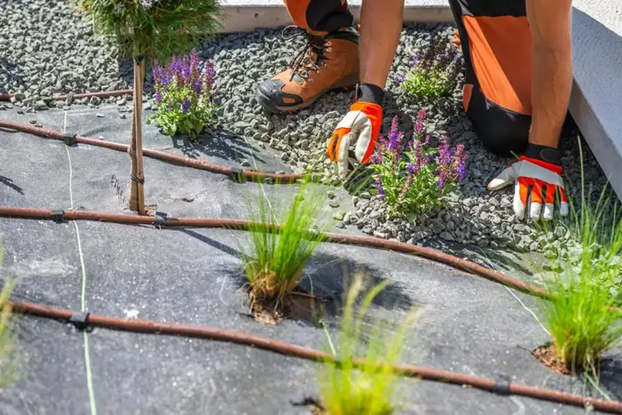 Local Landscape Installation Canton GA