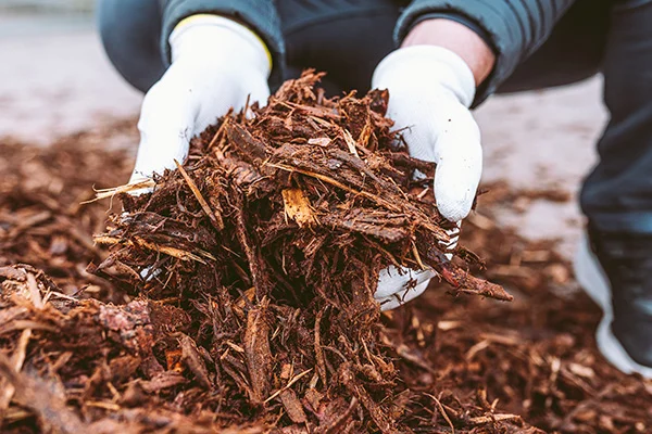 Mulching