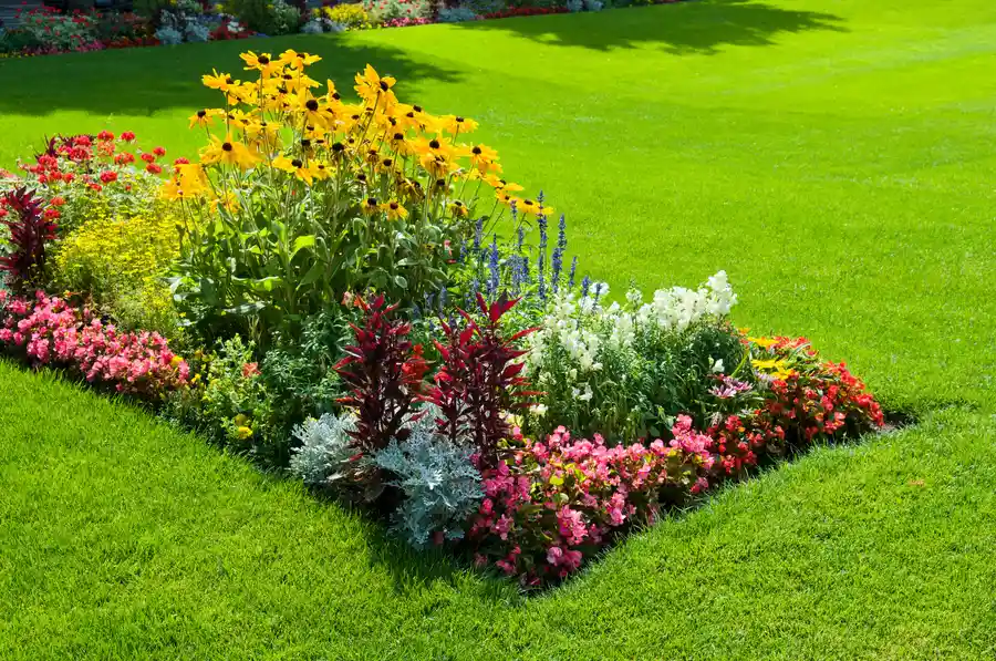The Importance Of Custom Landscape Design Services For Your Needs Canton GA The Importance Of Custom Landscape Design Services For Your Needs Canton GA